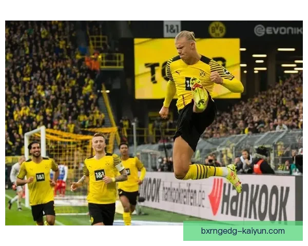 哈兰德赛程负荷加重，近期出勤率与体能状态走势清晰